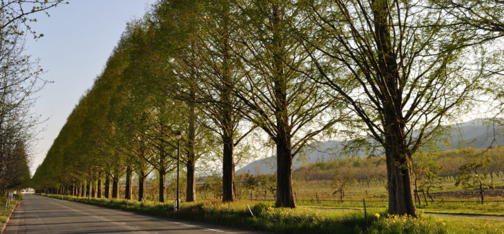 今回の試験サービスについてお願い
