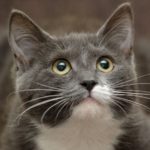 木下眞伴 さんのプロフィール写真